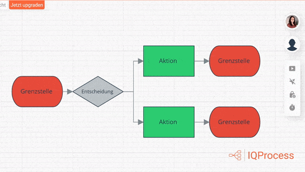 IQProcess Features – Präsentationsmodus IQProcess Features - Präsentationsmodus